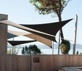 Tissus